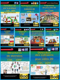 Collection Programmation Informatique (Bod)
