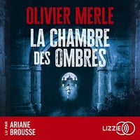 La chambre des ombres - Olivier Merle (2025)