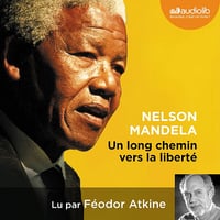 Un long chemin vers la liberté - Nelson Mandela (2013)