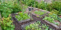 Pack Ressources Permaculture - 167 PDF