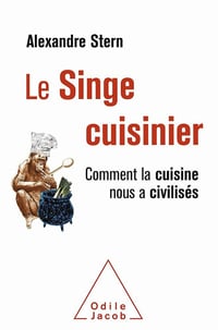 Le Singe cuisinier: Comment la cuisine nous a civilisés - Alexandre Stern (2020)