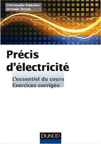 Précis d’électricité - Palermo, Christophe; Torres, Jérémi