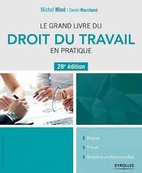 Le grand livre du droit du travail en pratique - 28e édition