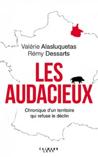 Les Audacieux : Chroniques d'un territoire qui refuse le déclin - Valérie Alasluquetas (2022)