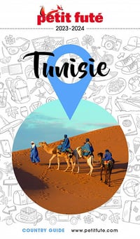 Tnisie 2023-2024 Petit Futé - Dominique Auzias, Jean-Paul Labourdette (2023)