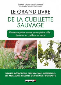 Le Grand Livre de la cueillette sauvage - Amaya Calvo Valderrama (2019)