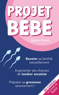 Projet Bébé - Agnès Perrin (2023)