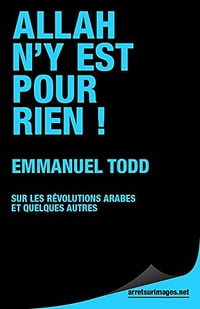 Allah n'y est pour rien !: Sur les révolutions arabes et quelques autres - Emmanuel Todd (2011)