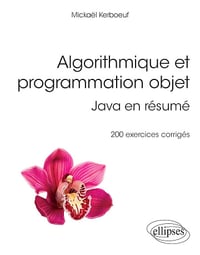 Algorithmique et programmation objet - Java en résumé - 200 exercices corrigés - Mickaël Kerboeuf (2020)