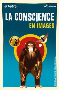 Papineau David - La Conscience en images