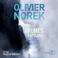 Dans les brumes de Capelans - Olivier Norek (2022)