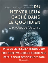 Du merveilleux caché dans le quotidien: La physique de l'élégance - Étienne Guyon (2018)