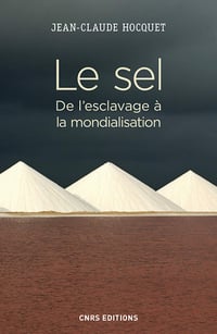 Le sel. De l’esclavage à la mondialisation - Jean-Claude Hocquet (2019)
