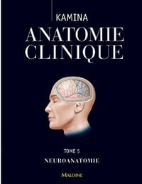 Kamina - Anatomie Clinique T.5 - Neuroanatomie: Tome 5, Neuroanatomie