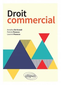 Droit commercial - Mme Annalisa De Grandi (2022)