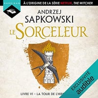 La Tour de l’Hirondelle: Sorceleur 6 - Andrzej Sapkowski (2020)
