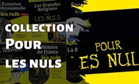 Collection de manuels pratiques recents - Pour Les Nuls - (85 ePub & PDF)