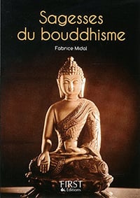 Fabrice Midal - Sagesses du bouddhisme