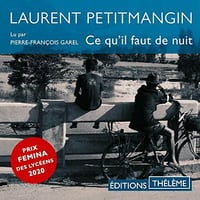 Ce qu'il faut de nuit - Laurent Petitmangin (2021)