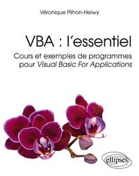 VBA : l’essentiel. Cours et exemples de programmes pour Visual Basic For Applications - Véronique Plihon-Heiwy (2024)