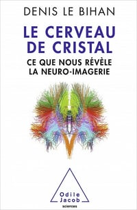 Le Cerveau de cristal: Ce que nous révèle la neuro-imagerie