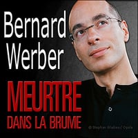 Meurtre dans la brume - Bernard Werber (2019)