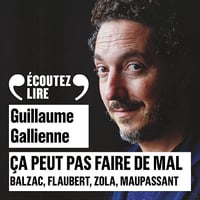 Balzac, Flaubert, Zola, Maupassant lus et commentés par Guillaume Gallienne: Ça peut pas faire de mal 3 - Guillaume Gallienne (2017)