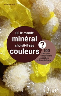 Où le monde minéral choisit-il ses couleurs ? 100 clés pour comprendre les roches et les minéraux - Martial Caroff (2024)