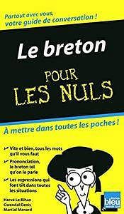 Hervé Le Bihan, Gwendal Denis, Martial Menard, "Le Breton Guide de conversation Pour les nuls"