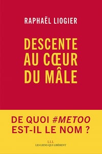Descente au cœur du mâle - Raphael Liogier