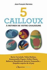 5 cailloux à retirer de votre chaussure - Jean-François Marmion (2023)