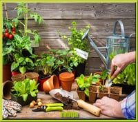 GIGAPACK 140 LIVRES Jardinage : Potager, Botanique, encyclopédie, Revus HD