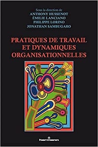 Pratiques de travail et dynamiques organisationnelles - Anthony Hussenot (2022)