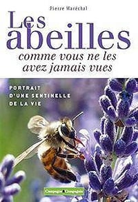 Les abeilles comme vous ne les avez jamais vues