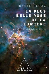 La plus belle ruse de la lumière - David Elbaz (2021)