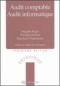 Audit comptable, Audit informatique - Hugues Angot, Christian Fischer, Baudouin Theunissen, Charles Van Wymeersch
