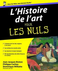 L’Histoire de l’Art Pour Les Nuls