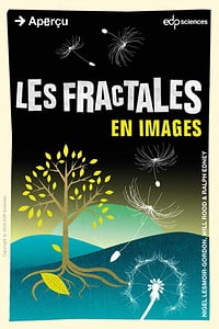 Les fractales en images