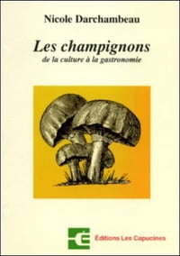 Les champignons : de la culture à la gastronomie