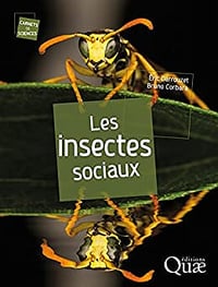 Les Insectes Sociaux - Eric Darrouzet et Bruno Corbara