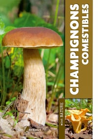 Artémis - Champignons comestibles