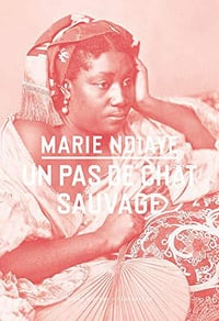 Un pas de chat sauvage - Marie NDiaye (2019)