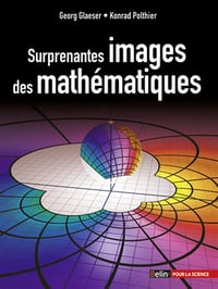 Surprenantes images des mathématiques - Georg Glaeser (2013)
