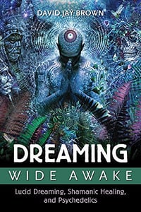 Le rêve éveillé, le rêve lucide, la guérison chamanique et les psychédéliques - David Jay Brown (2016)