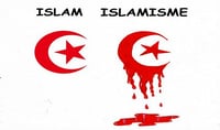 (Pack) Islam et Islamisme 134 epubs