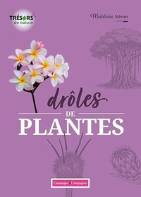 Drôles de plantes - Madeleine Néron (2026)