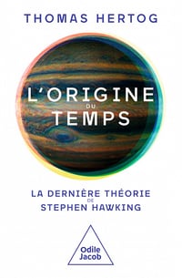 L'origine du temps : La dernière théorie de Stephen Hawking - Thomas Hertog (2023)