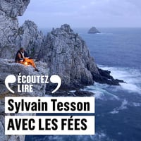 Avec les fées - Sylvain Tesson (2024)