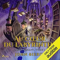 Au Cœur du Labyrinthe: Mage errant, Tome 1 - John Bierce (2023)