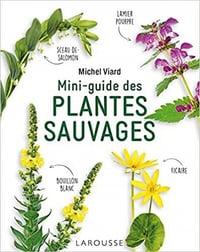 Mini-guide des plantes sauvages - Michel Viard (2022)